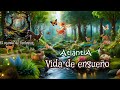 Vida De Ensueño Video Lyric Oficial Vida De Ensueño Video Lyric Oficial
