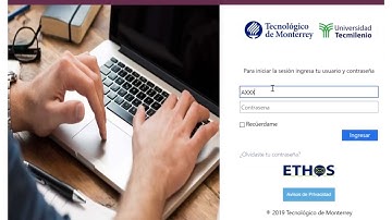 Tutorial Uso Básico de Blackboard Ultra