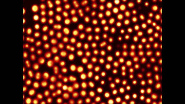 Gray-Scott Model Simulation (Pattern Zeta) -Complex Patterns in Simple Reaction-Diffusion System.wmv