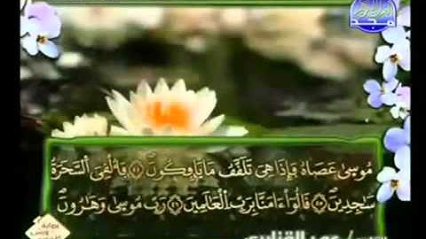 الجزء التاسع عشر (19) من القرآن الكريم بصوت الشيخ عمر القزابري