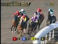 Premier Pegasus Stays Perfect In `Goodman