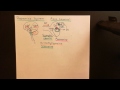 Amphetamine and Methamphetamine Part 3
