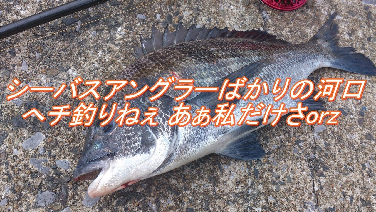 御笠川河口 博多湾 釣りたいドットコム
