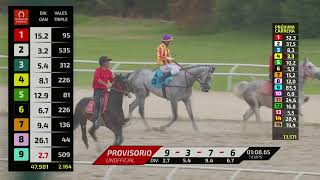 Vidéo de la course PMU BACCANTE HANDICAP