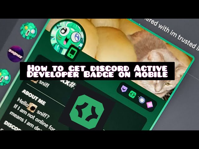 Help you get the discord active developer badge by Xjmd26