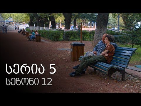 ჩემი ცოლის დაქალები - სერია 5 (სეზონი 12)