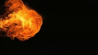 The Dream Team Productions Tdtp Official