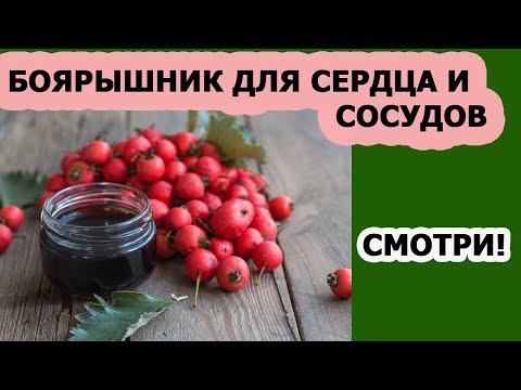 Здоровье сердца Гипертония  БОЯРЫШНИК ДЛЯ СЕРДЦА ПОНИЖАЕТ ИЛИ ПОВЫШАЕТ ДАВЛЕНИЕ БОЯРЫШНИК