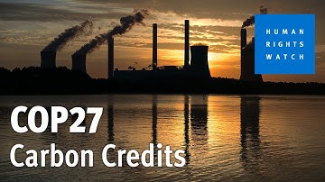 What are Carbon Credits and How Do They Work?