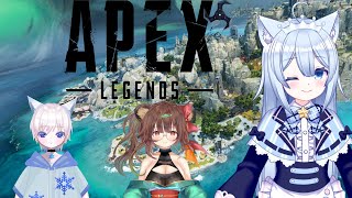 【APEX】ランクマ配信！？ふーっ、よし行くぞ