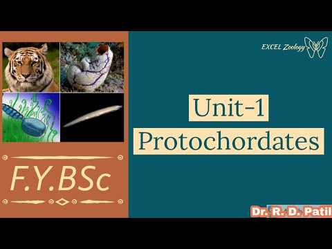 F.Y.BSc Unit- 1| Protochordates| Lecture- 3
