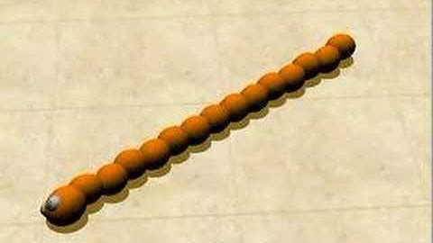 Snakebot evolved for information transfer