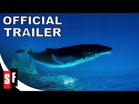 humpback-whales---official-trailer-(hd)
