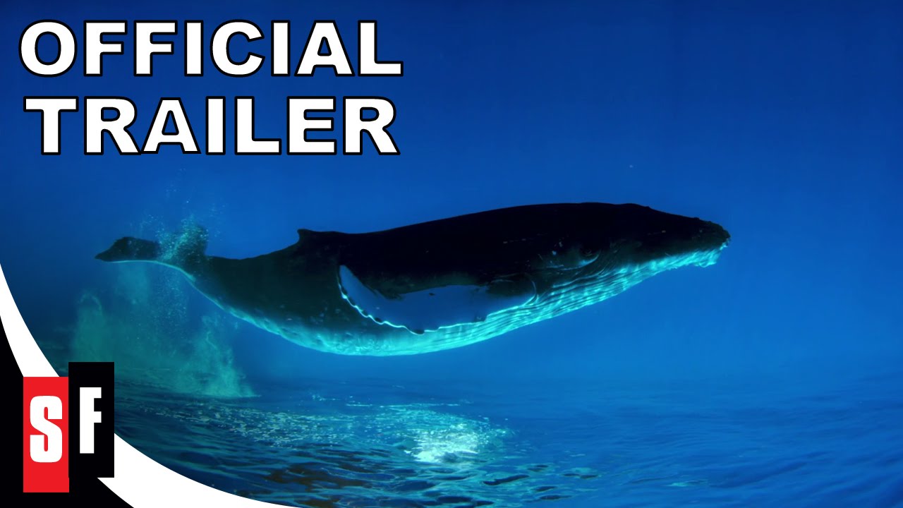 Humpback Whales Official Trailer Hd Youtube