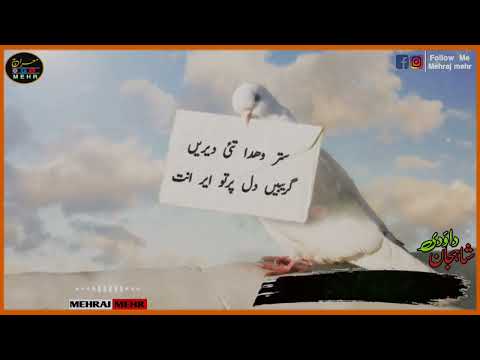 برو کاسد بگوش لال ء گ شندہ شاہجان داؤدی ویڈیو تراشکار معراج مہر Mehrajmehr