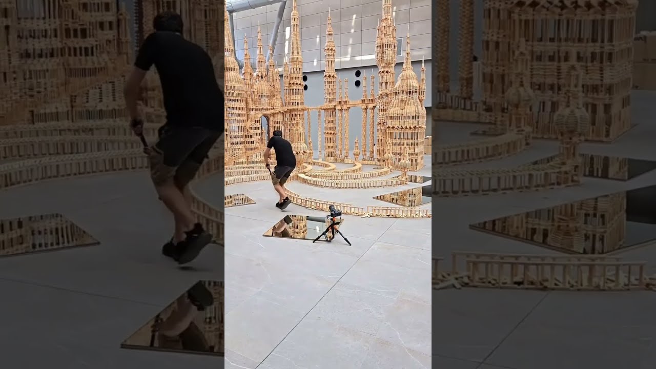This Is Insane 