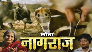 Download Lagu Chota Nagraj | Full Hindi Movie | Sathyaraj, Manivannan, Seeman, Mrithula, Komal Sharma MP3 Download Lagu Chota Nagraj | Full Hindi Movie | Sathyaraj, Manivannan, Seeman, Mrithula, Komal Sharma MP3