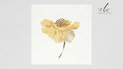 How to paint on Procreate | Watercolor Florals | Procreate Brushes