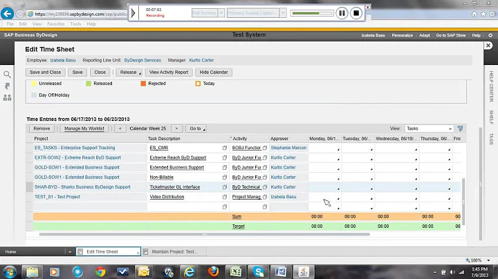 Demo: SAP Business ByDesign Project Time and Expense