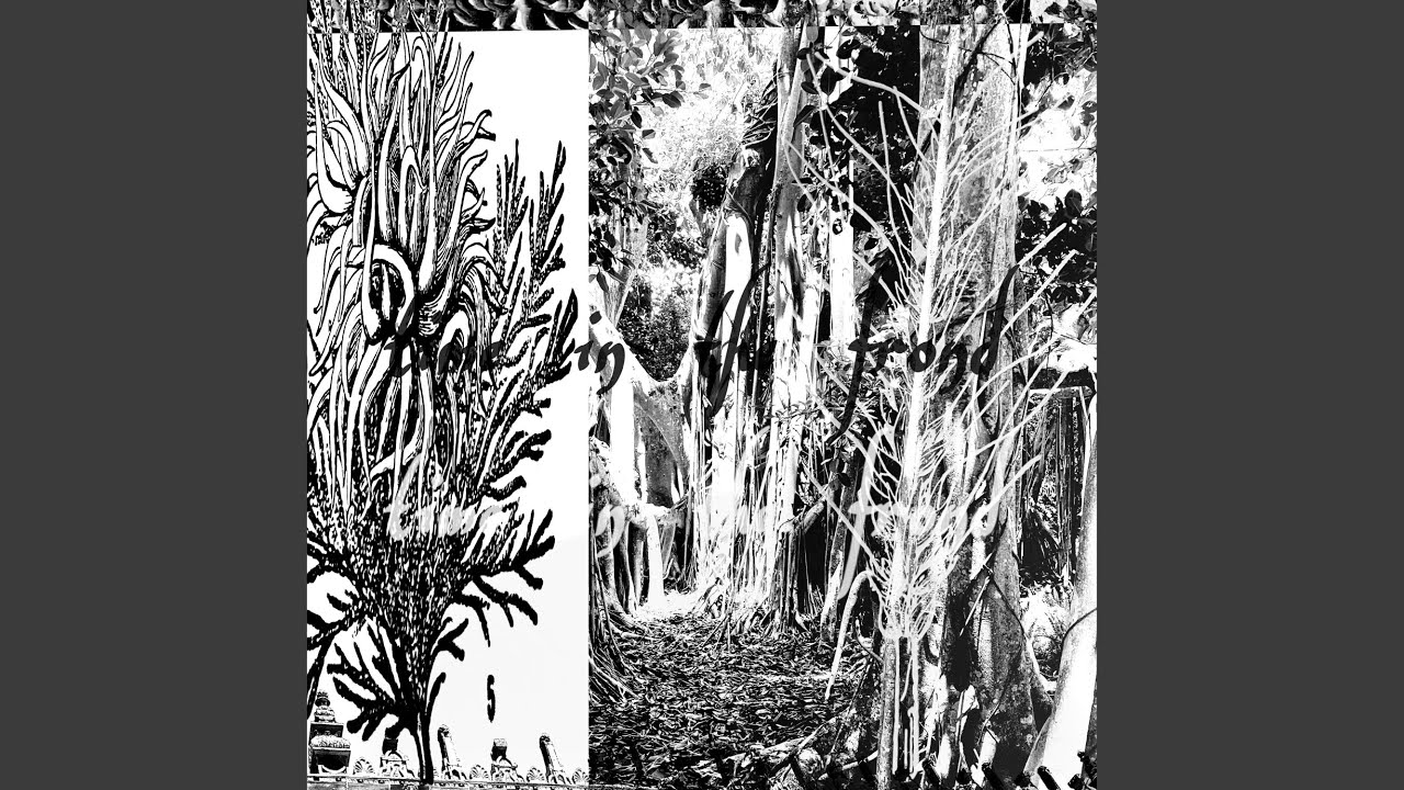 time in the frond auf YouTube ansehen time in the frond auf YouTube ansehen