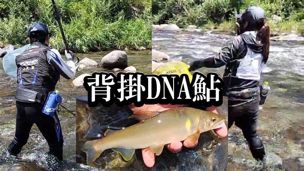 東北鮎人 シマノ(SHIMANO) 友鮎ZX H2.75-85/90ZX 330185｜アウトドア用品・釣り