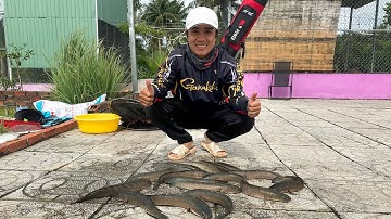 FISHING . HÔM NAY ĐỔI CẢM GIÁC KIẾM CÁ LÓC VỀ NẤU CANH CHUA