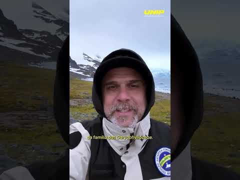 Musgos centenários e vida no continente gelado