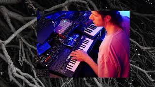 AMBIENT LIVE. Analogue synthesizer.