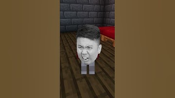 When Your DUO is A Compulsive LIAR