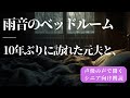 【大人の朗読】雨音のベッドルーム― 10年ぶりに訪れた元夫と、静かな夜に溶けていく心 ―