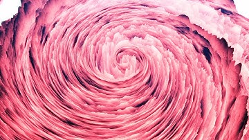 Trapcode Mir Swirl | Adobe After Effects