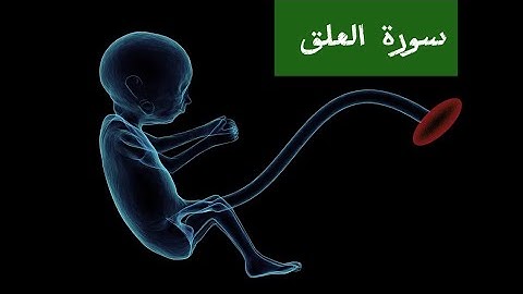 سورة العلق . تلاوة نادرة