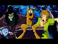 Scooby-Doo! po Polsku 🇵🇱 | Zagubieni w lesie 🏕️ | WB Kids