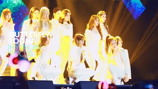 20191126 Vietnam Aaa Loona Butterfly Hyunjin Focus Cam