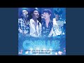 Puzzle (Live-2016 Spring Live -We're like puzzle-@Nippon Budokan, Tokyo)