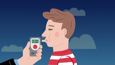 Alcohol and the body