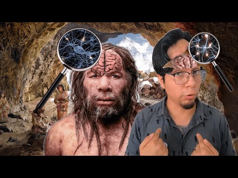 Nuestro cerebro se está encogiendo y es por esto