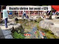 Dazaifu shrine koi pond(Dazaifu, Fukuoka)