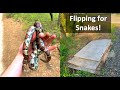 Roadside boards for the Win!- Flipping boards to find Snakes!