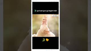 Download Mp3 Air mata Buaya Darat. 😄😄😄 #short #lucuabis #buayadarat #memelucushorts Gudang lagu Download Mp3 Air mata Buaya Darat. 😄😄😄 #short #lucuabis #buayadarat #memelucushorts