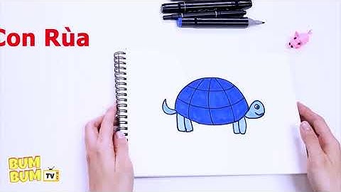 Bum Bum TV | Hướng Dẫn Bé Tập Vẽ Con Rùa Đơn Giản | How to Draw a Turtle easy