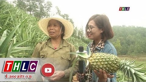 Xã Trì Quang, huyện Bảo Thắng quyết tâm xây dựng nông thôn mới| THLC