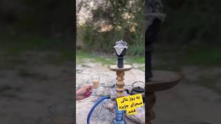 ساندویچ زغالی درصحرا جزیره قشم جاتون گل گذاشتم خوشگلای من #short #shorts #shortvideo #shortsvideo