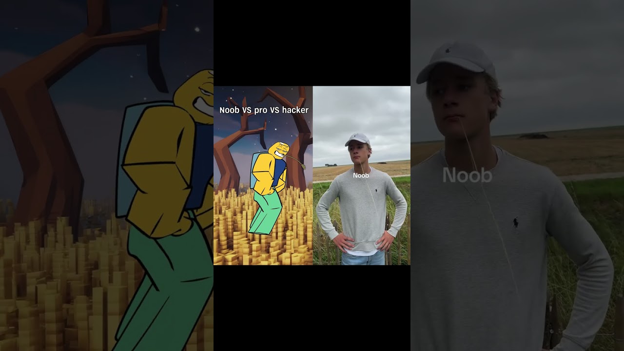 Noob vs Pro vs Hacker 😜 