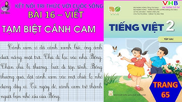 Tiếng việt 2| Tập 2| Bài 16| Viết |Tạm biệt cánh cam| Trang 65| Kết nối tri thức