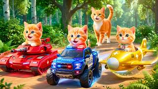 Live 🔴Mama Cat And Kitten ✨Funny Cat | Kucing 🌻 Cat Videos 😿 Cute Cat | Meow Meow