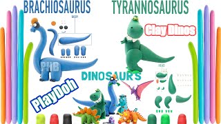 Tyrannosaurus & Brachiosaurus Playdoh Making - HEY CLAY® DINOS