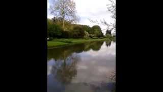 De Vrede Van De Aarde En De Hemel -Iona