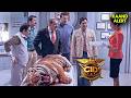 CID के Lab में आया घायल Tiger | CID | सी.आई.डी. | New Episode 2026