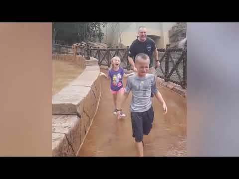 Best Water Fails AFV Funniest Videos